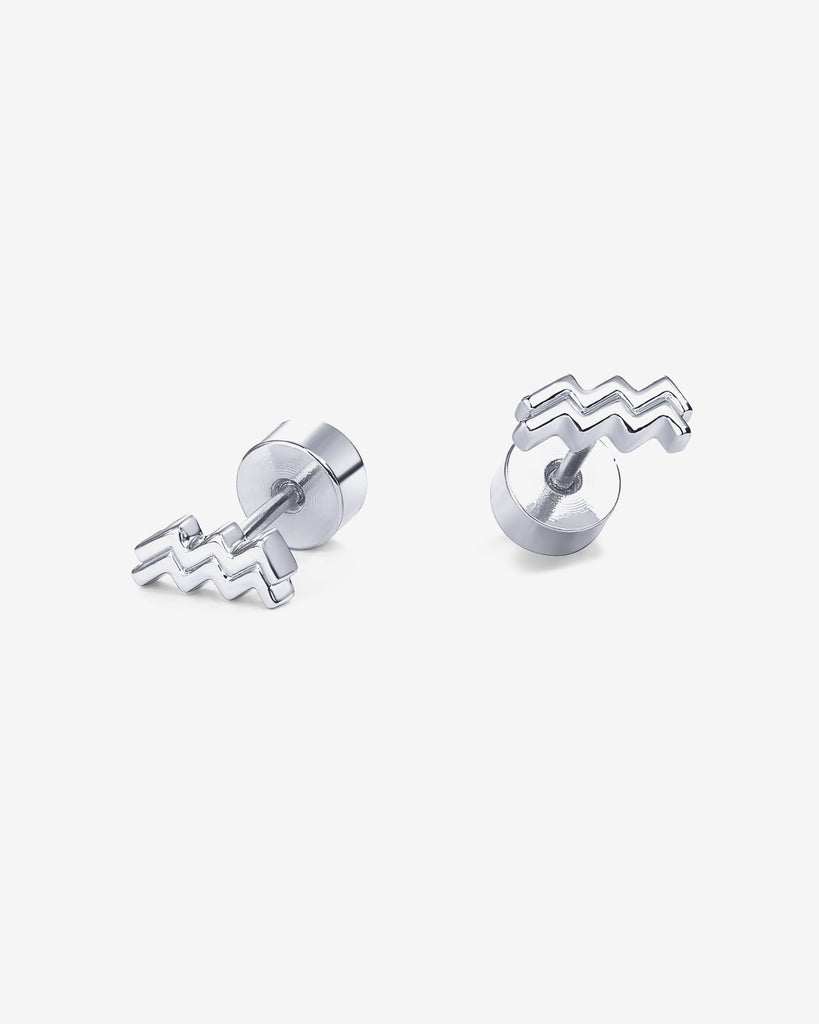 What's Your Sign Horoscope Earrings   