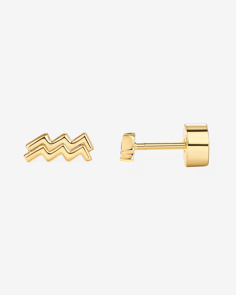 What's Your Sign Horoscope Earrings #Variant_Yellow Gold / Aquarius  