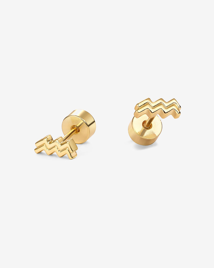 What's Your Sign Horoscope Earrings   