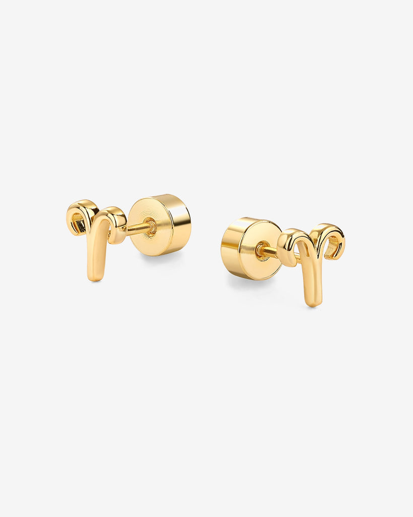 What's Your Sign Horoscope Earrings   
