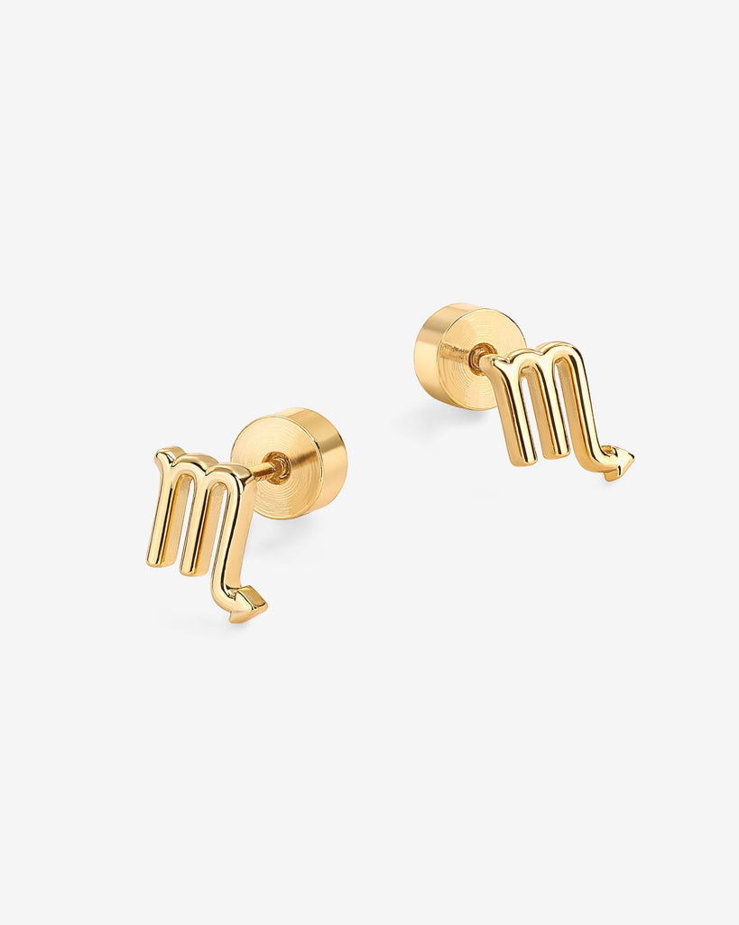 What's Your Sign Horoscope Earrings   