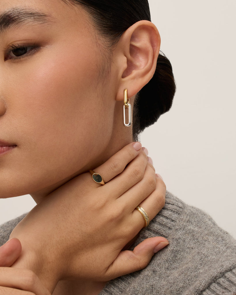 Two-Toned Link Chain Earrings   