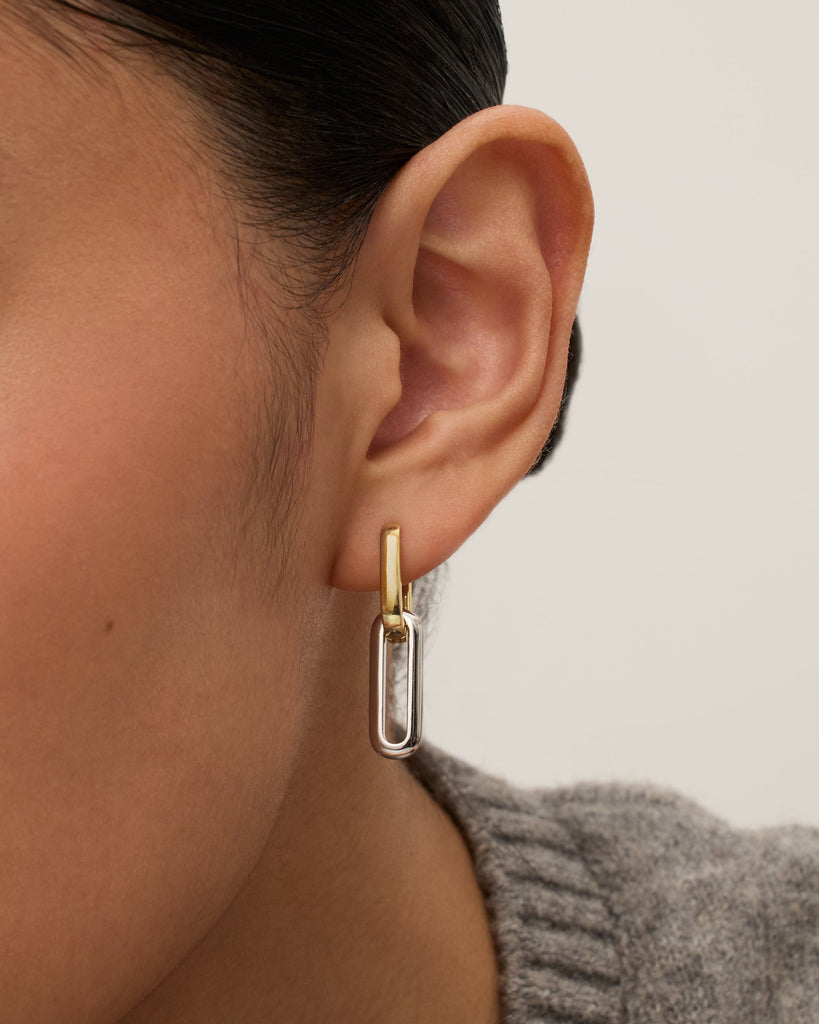 Two-Toned Link Chain Earrings   
